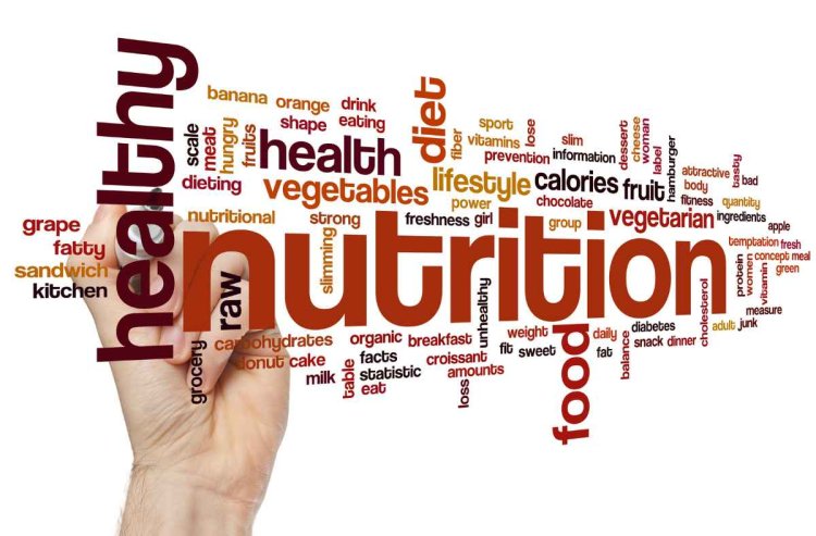 The Power of Nutrition: How Diet Impacts Overall Health and Well-being