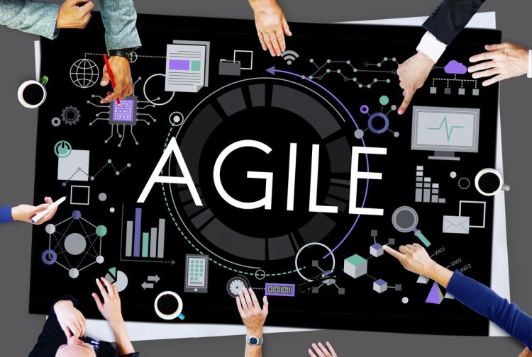 Adapting to Change: How Franchise Businesses Stay Agile and Relevant