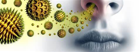 Managing Symptoms During Seasons of High Pollen