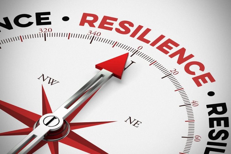 Franchise Resilience: 10 Brands Thriving Despite Economic Challenges