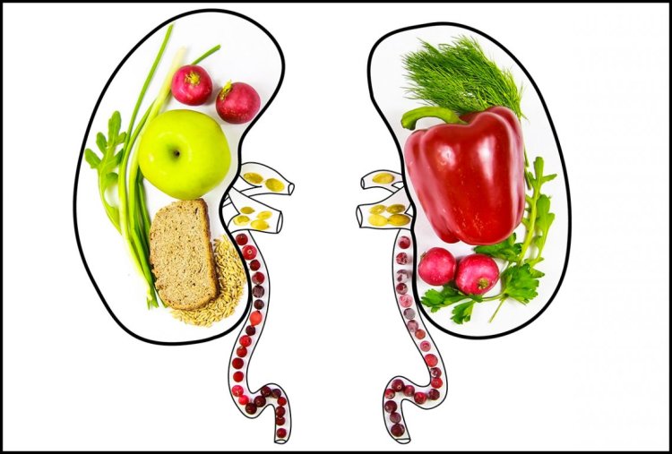 Foods to Support Function and Prevent Disease: Nourishing Your Kidneys