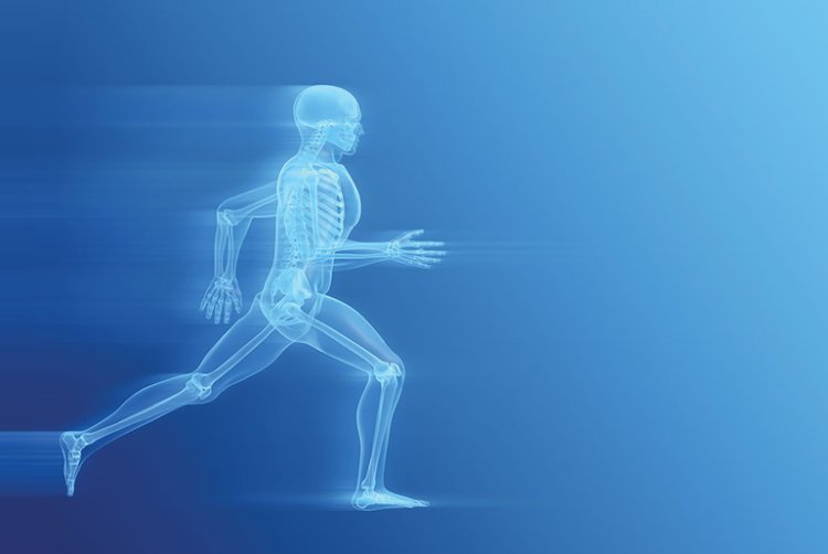 Building Strong Foundations: Bone Health Across the Lifespan