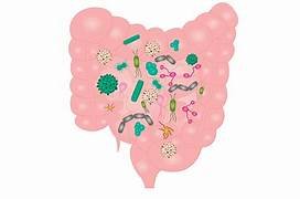 Recognition and Management of Small Intestinal Bacterial Overgrowth (SIBO)